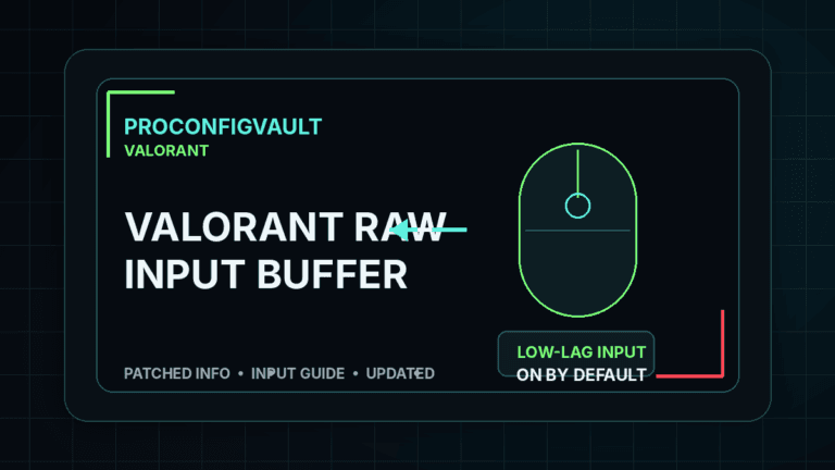 Valorant raw input buffer and mouse input settings guide by ProConfigVault