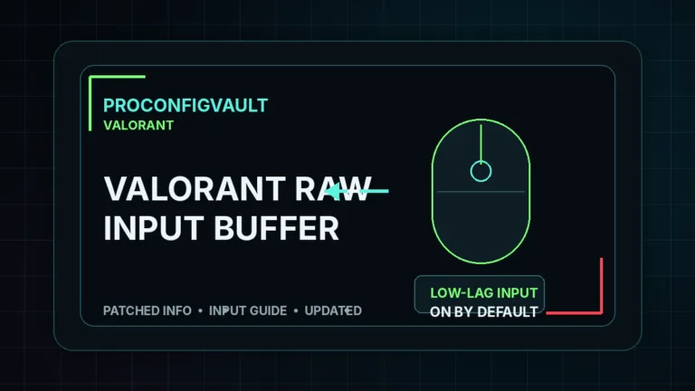 Valorant raw input buffer and mouse input settings guide by ProConfigVault